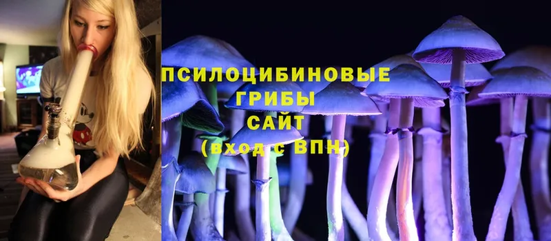 что такое   МЕГА онион  Галлюциногенные грибы Cubensis  Новодвинск 